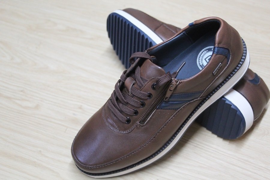 gcomfort6619